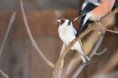 /album/fotogalerie/dsc-0011-jpg/