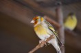 /album/fotogalerie/dsc-0018-jpg/